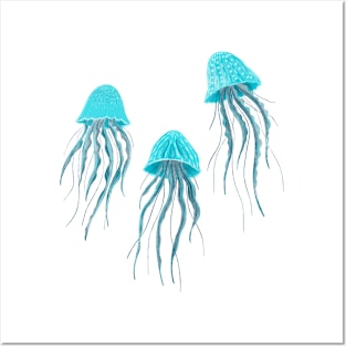 Jellyfish sea life Posters and Art